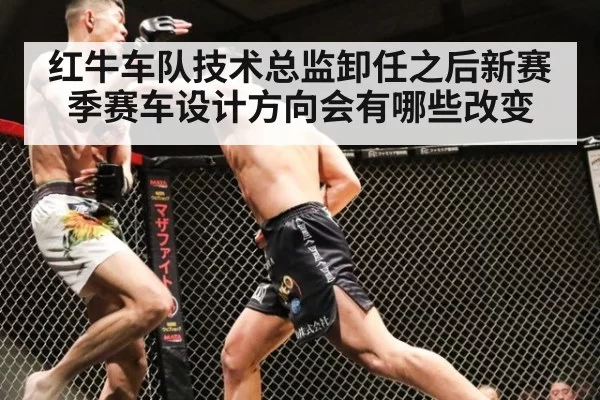 红牛车队技术总监卸任之后新赛季赛车设计方向会有哪些改变